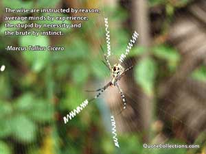 marcus_tullius_cicero_quotes Quotes 1
